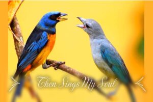 When The Birds Sing